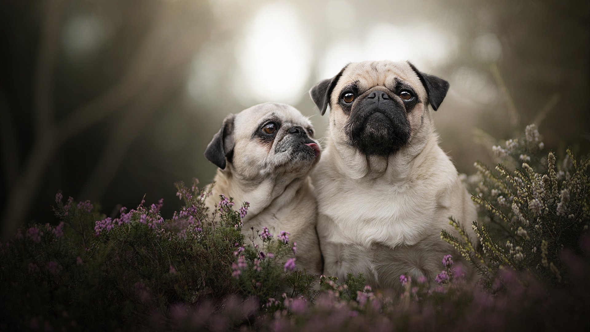 开云体育app网页版安全-《电竞公益赛：用比赛传递正能量》，电竞 公益