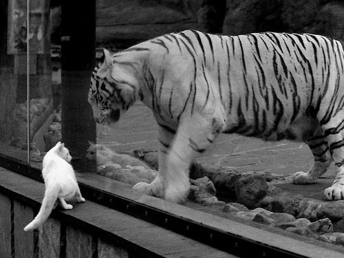 开云体育全站-【未来帅脸】智能化设备在球场中的应用前景，智能球场方案介绍