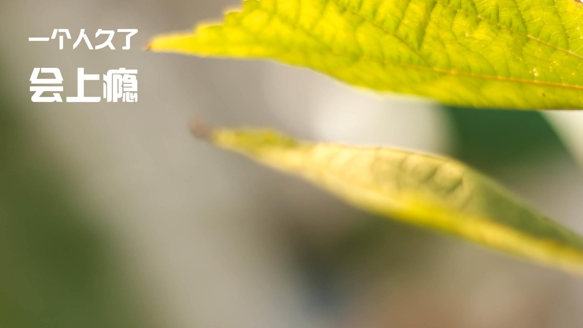 KAIYUN 中国大陆-体育科技企业携手高校推动青少年篮球智能化培训，ybdl青少年篮球培训  第1张