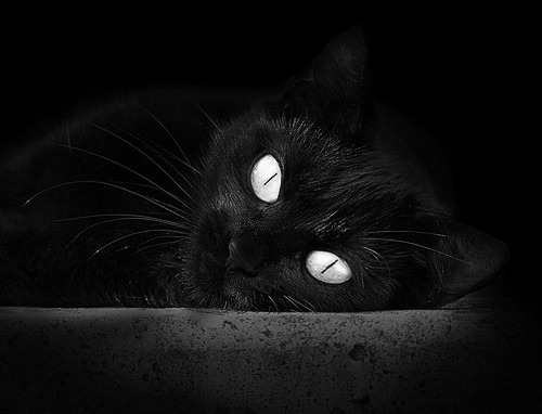 开云体育官方网站登陆-教练的人生哲学：用战术塑造球队精神，教练技术的战神课程  第3张