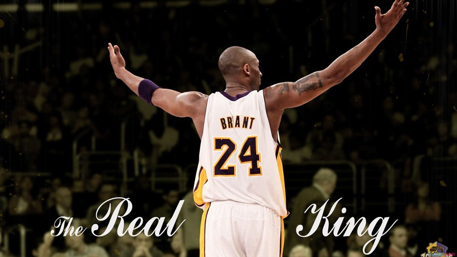 开云官网首页-骑士配合大学研究开展球员营养改善项目